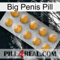 Big Penis Pill levitra1